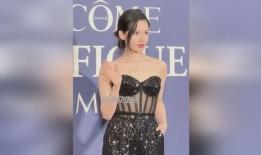 陈凯歌张婧仪爆料视频,幕后真相与情感纠葛