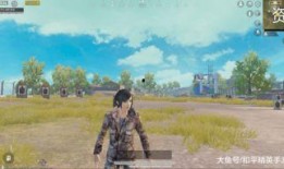 和平精英新军需最新爆料香桃花海,和平精英新春浪漫来袭