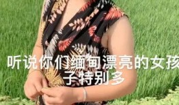 缅甸小姑娘爆料新闻视频,揭秘新闻背后的真实故事